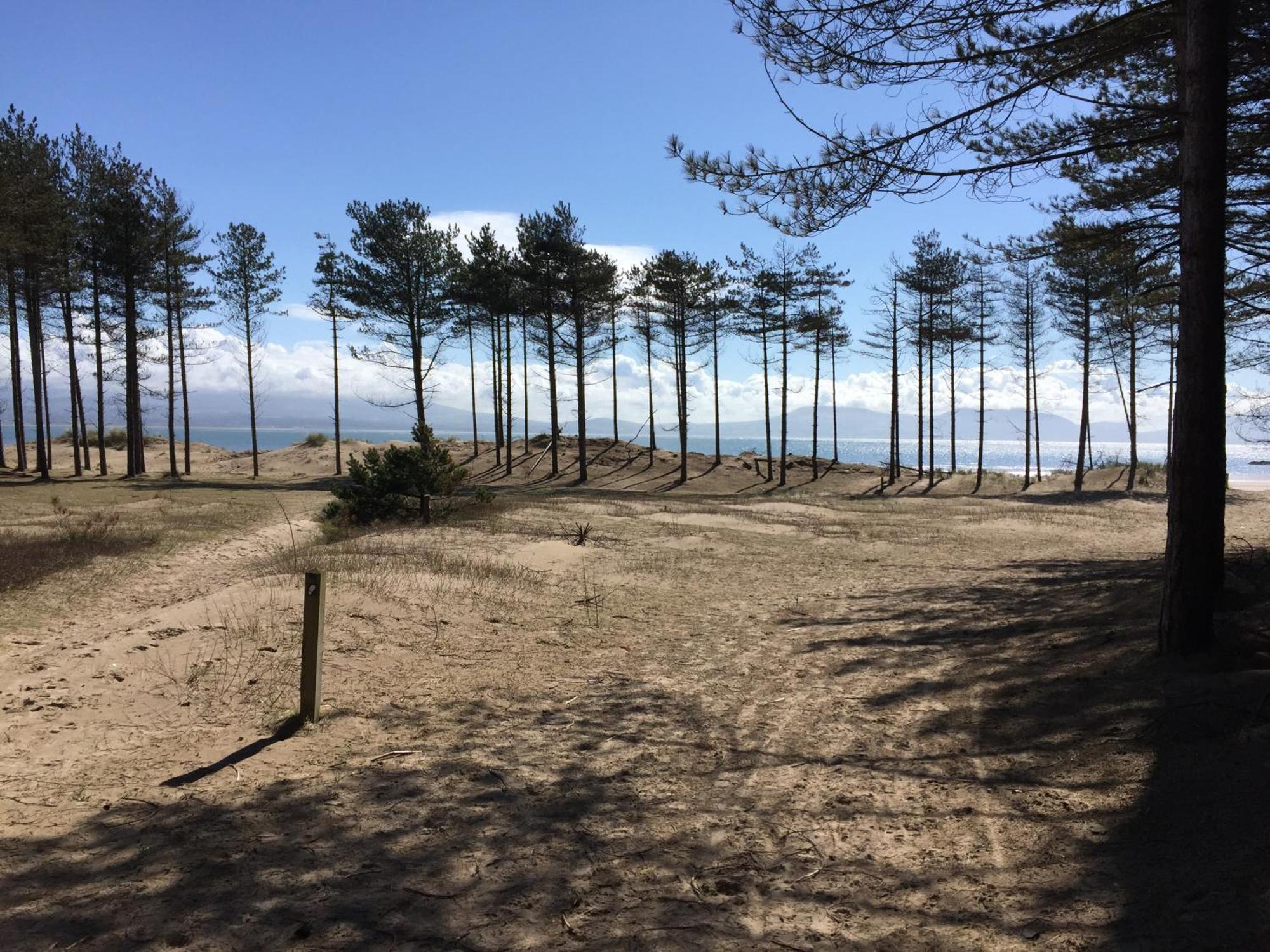 Llanw Malltraeth - Malltraeth Tides Llangadwaladr  Eksteriør bilde